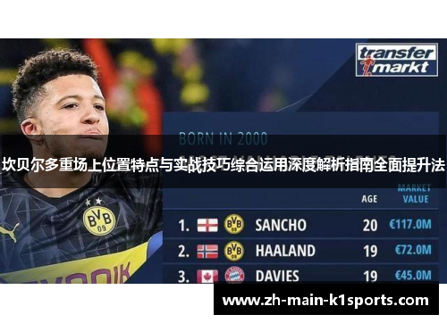 坎贝尔多重场上位置特点与实战技巧综合运用深度解析指南全面提升法