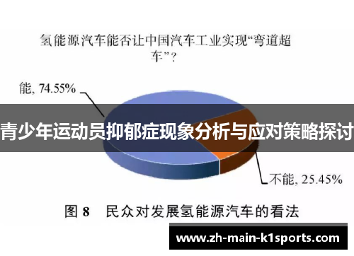 青少年运动员抑郁症现象分析与应对策略探讨 青少年运动员抑郁症现象分析与应对策略探讨