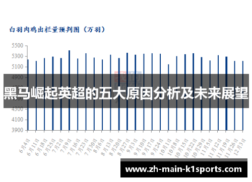 黑马崛起英超的五大原因分析及未来展望