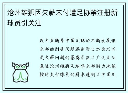 沧州雄狮因欠薪未付遭足协禁注册新球员引关注
